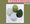 【02 Green】  4 Pieces Super Soft Beauty Blender Set with storage box, Makeup puff, Beauty Sponge