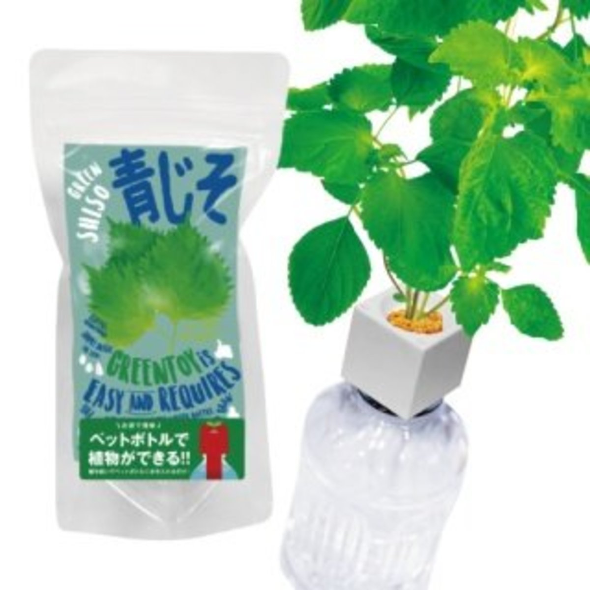 Green Toys Diy水耕種子套裝紫蘇葉日本製造 Hktvmall 香港最大網購平台