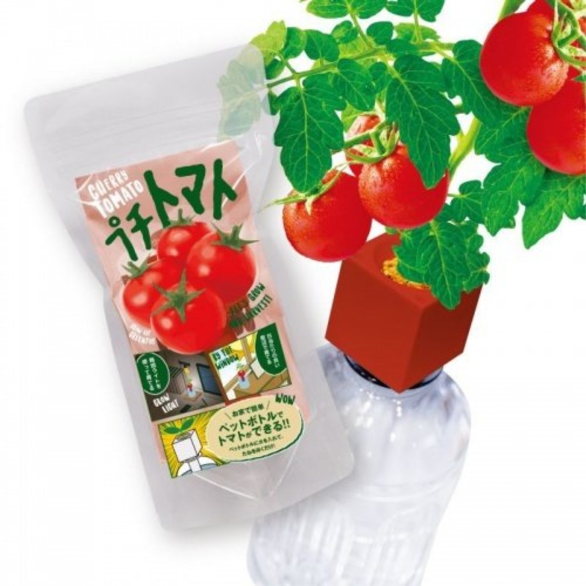 DIY水耕種子套裝  紅蕃茄 日本製造