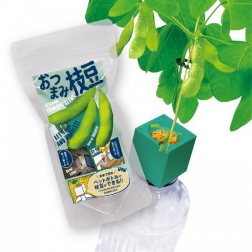 Green Toys Diy水耕種子套裝枝豆日本製造 Hktvmall 香港最大網購平台