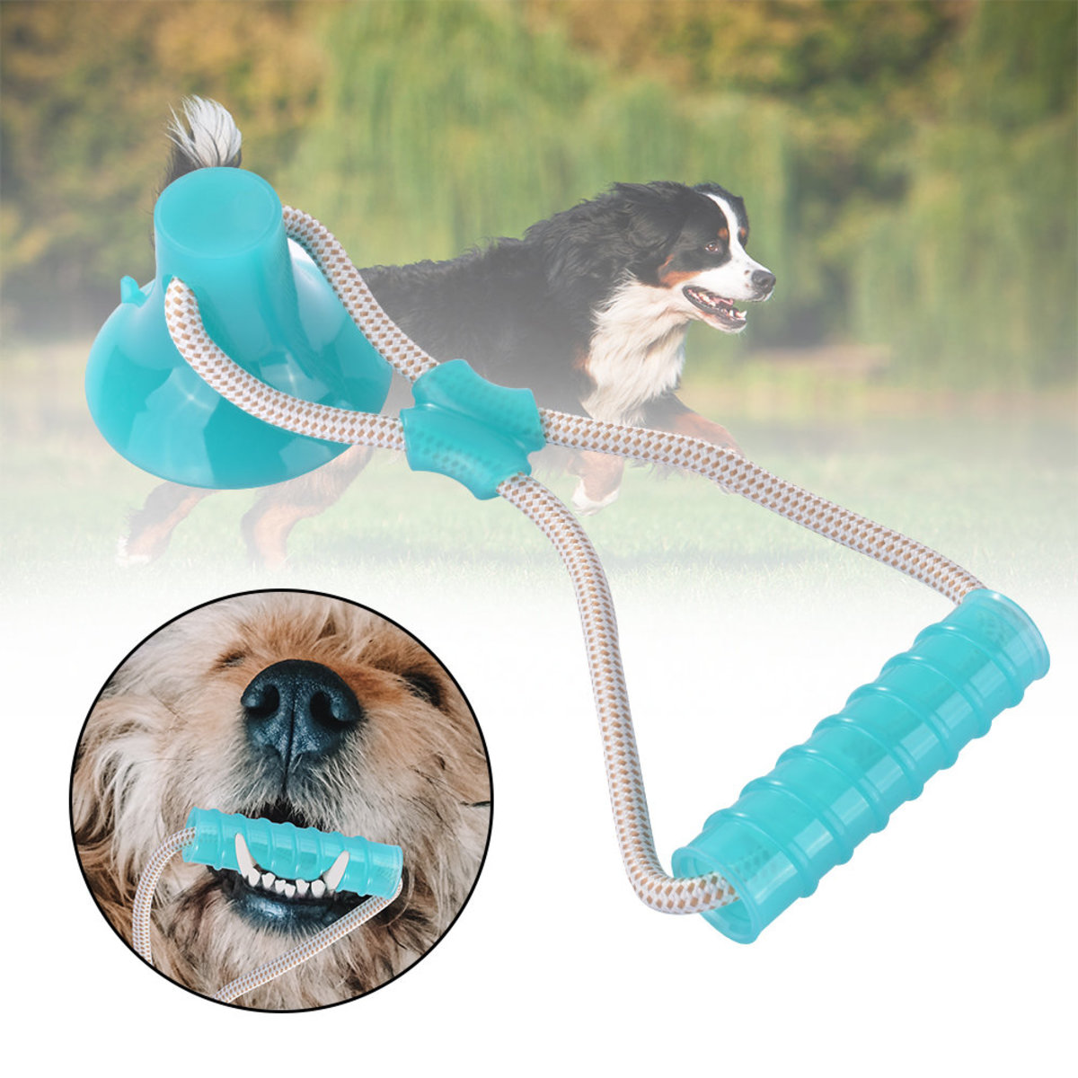 blue dog dog toy