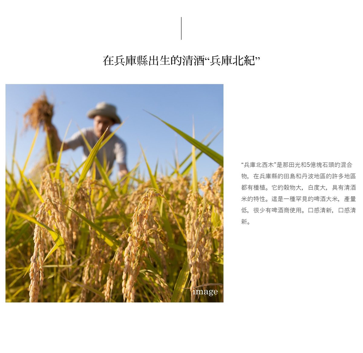 八重垣 褒紋純米大吟釀7ml 紙盒裝 Hktvmall 香港最大網購平台