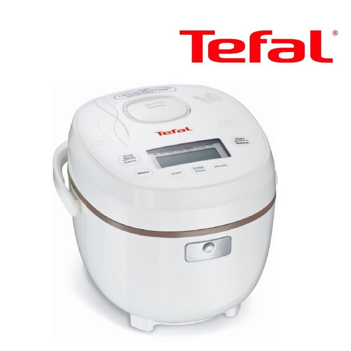 fuzzy logic rice cooker