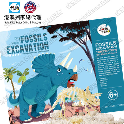 children's excavation kit