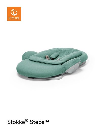 stokke steps baby bouncer