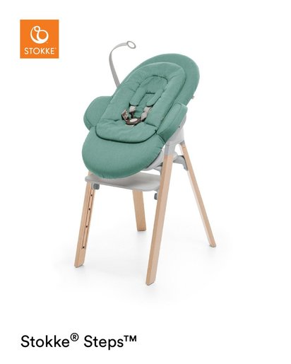 stokke bouncy chair