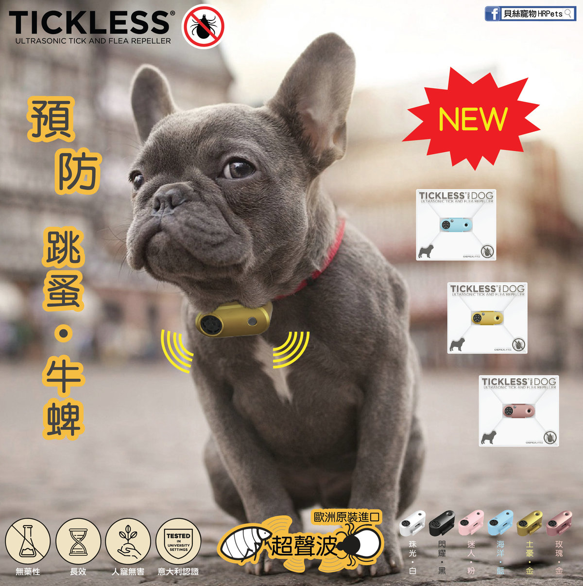 tickless dog