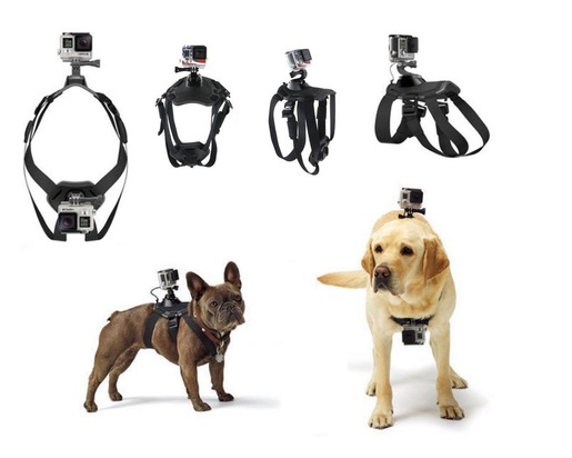 Hk dog outlet harness