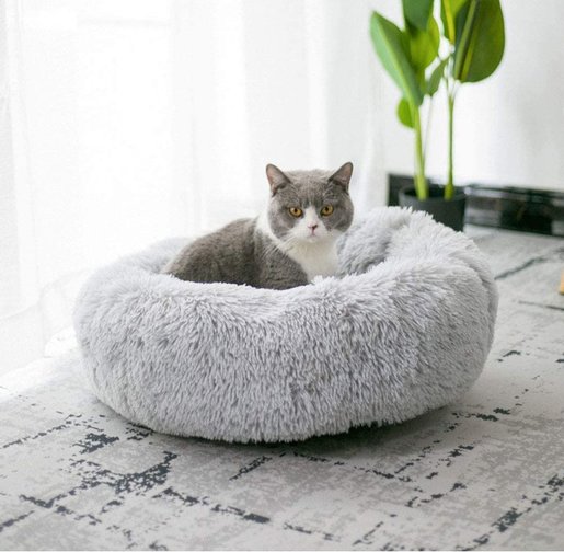 cat dog bed
