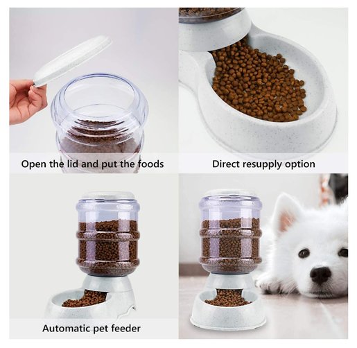 automatic cat feeding bowls