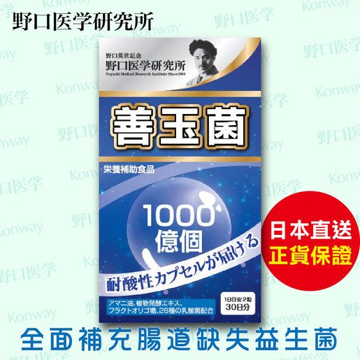 野口 1000億高活性益生菌膠囊 1盒 Exp 02 24 平行進口 野口醫學研究所乳酸菌腸胃健康低聚果糖耐酸膠囊亞麻籽提升免疫力促進消化 Hktvmall 香港最大網購平台