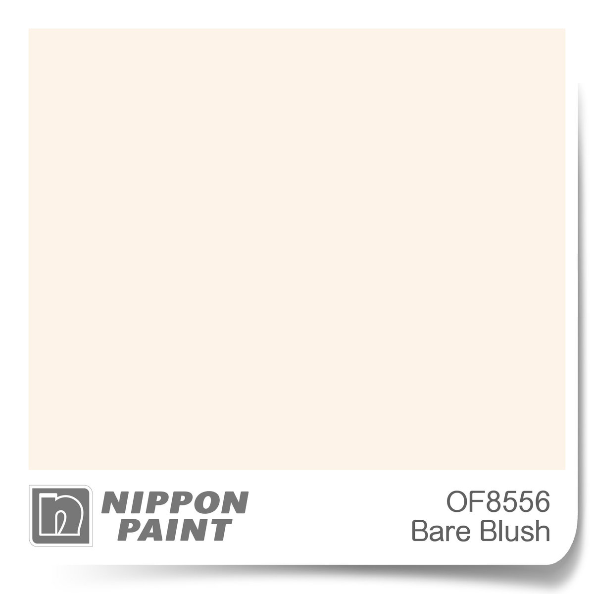 立邦金裝抗甲醛淨味全效(竹炭配方)內牆乳膠漆  1升